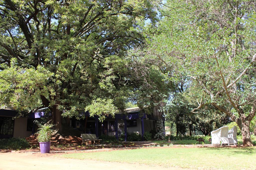 Hotel Big Tree Midrand Exterior foto
